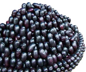 Benefits Of Black Plum Fruit
